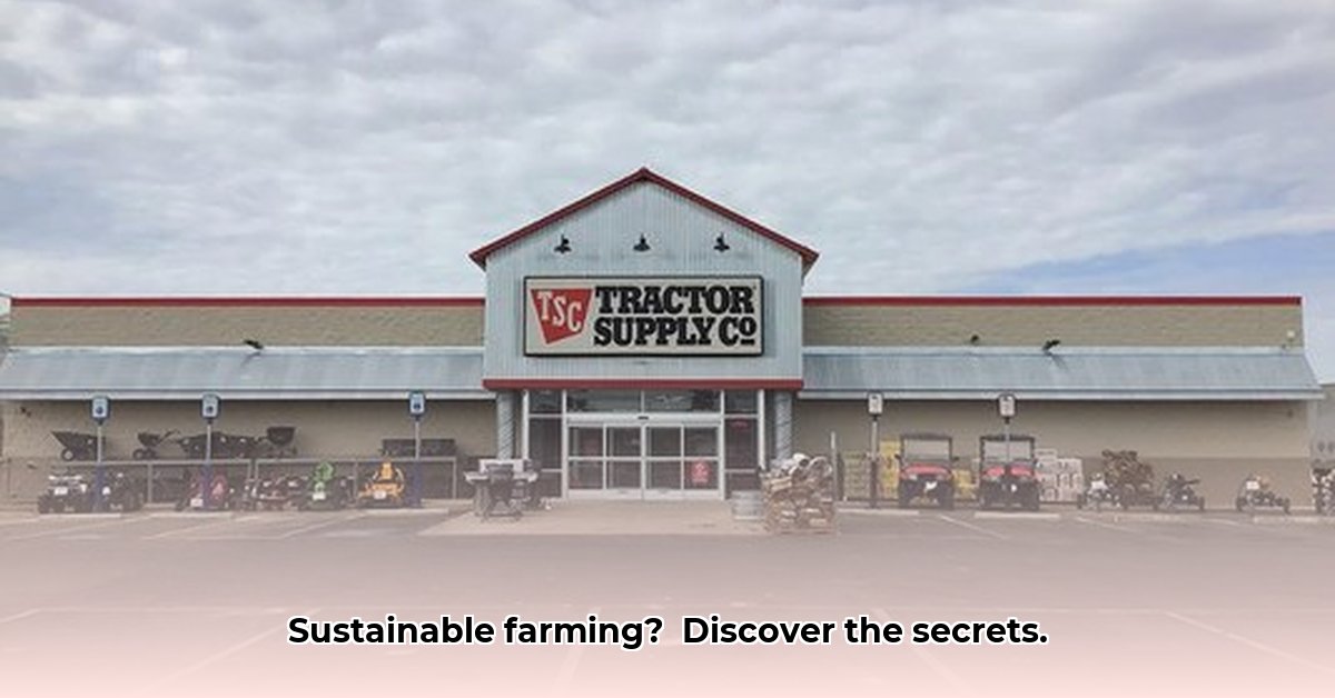 tractor-supply-andrews